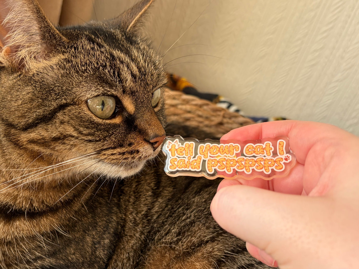 Tell Your Cat Acrylic Pin